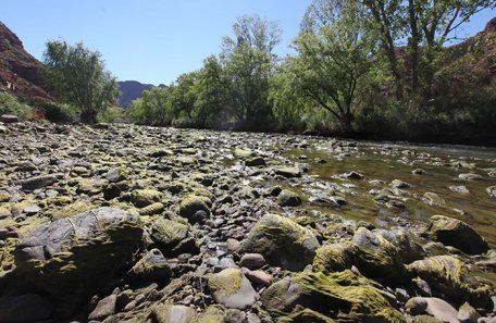 Crisis hídrica: Irrigación cortó el río Atuel y dejó sin agua al turismo y a grandes viñedos del sur