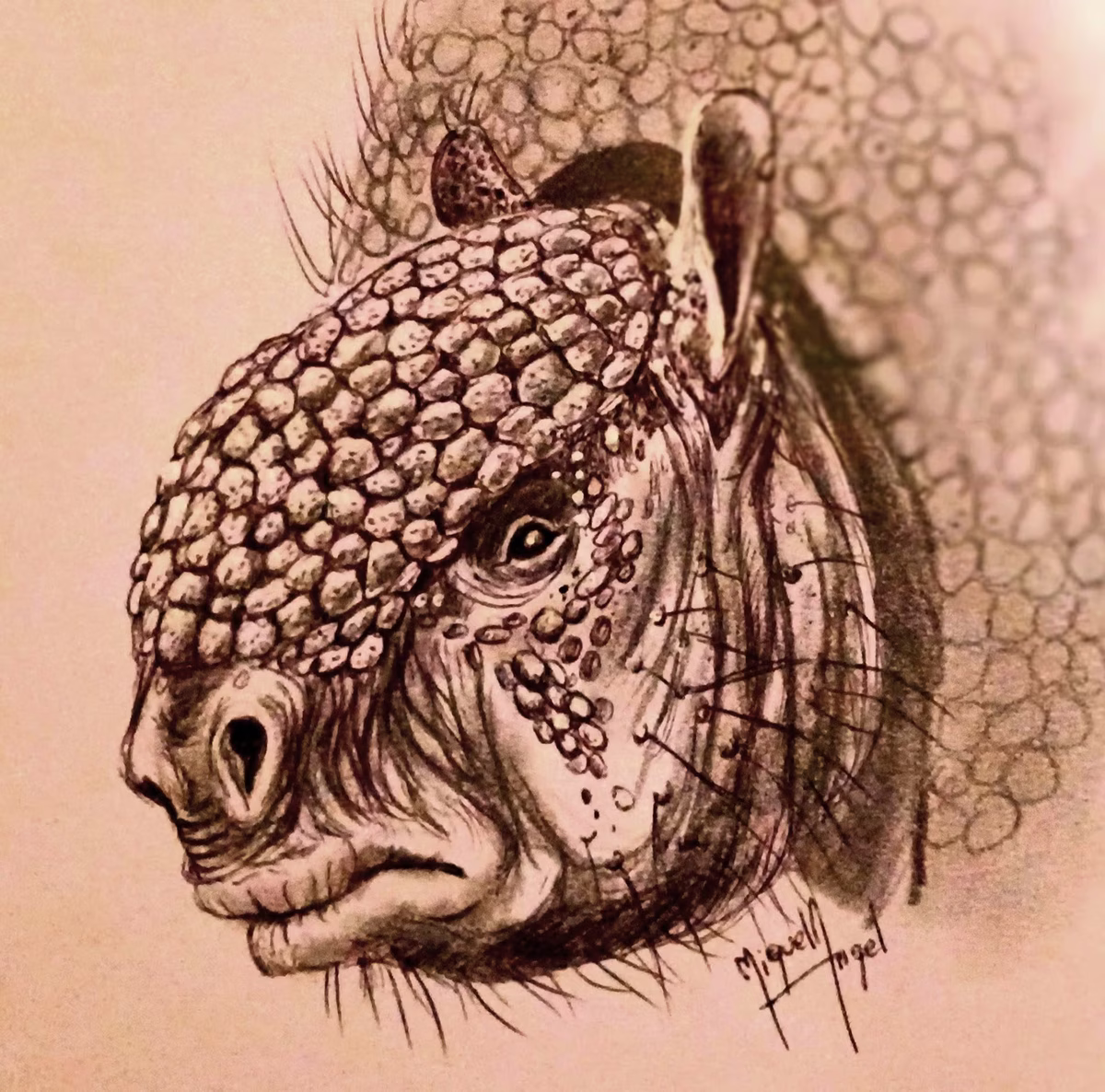 Gran descubrimiento a 300 kilómetros de Buenos Aires: está intacto y sorprendió a los paleontólogos Gran descubrimiento a 300 kilómetros de Buenos Aires: está intacto y sorprendió a los paleontólogos