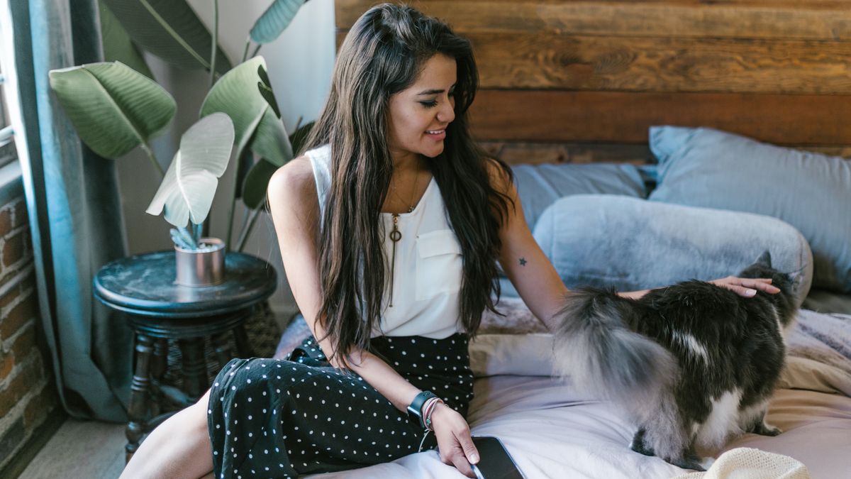 Lo más probable es que los gatos reconozcan el nombre de sus dueños por la frecuencia con la que los escuchan.