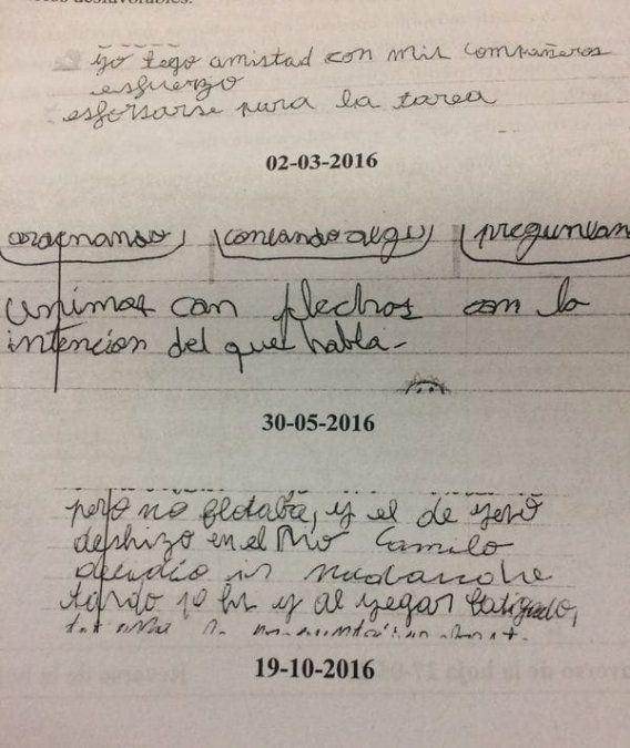 Los dibujos y las tareas escolares que revelaron el abuso sexual de un maestro a nenas de nueve años