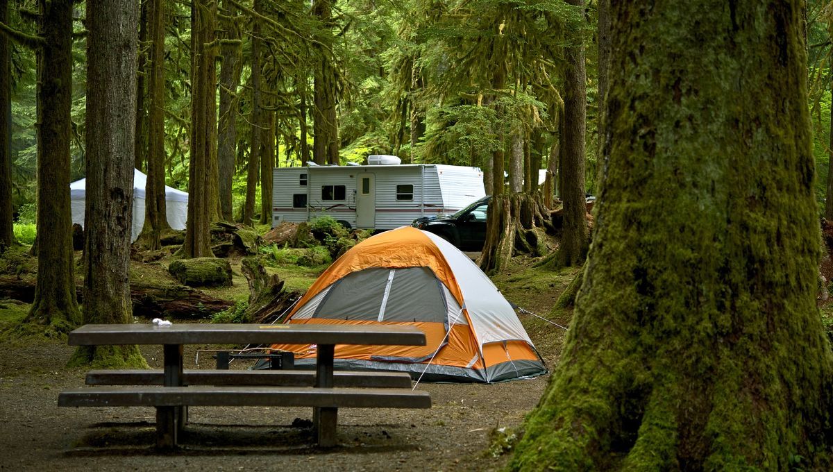 Qué elementos no deben faltar en una mochila para salir de camping