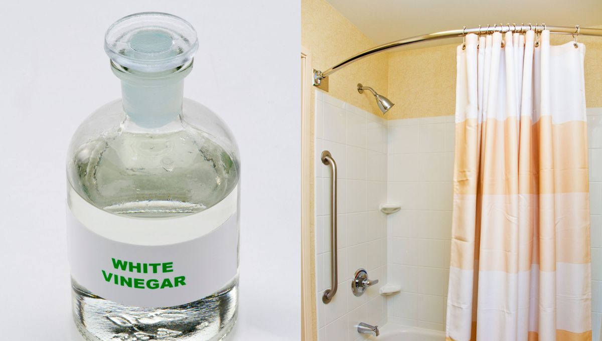 La humedad es la principal causante de que la cortina de la ducha se llene de hongos. La humedad es la principal causante de que la cortina de la ducha se llene de hongos. 