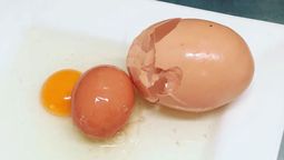 &nbsp;Es muy común encontrar un huevo dentro de otro huevo.