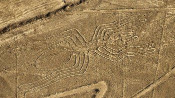 Un camión dañó las milenarias líneas de Nasca en Perú