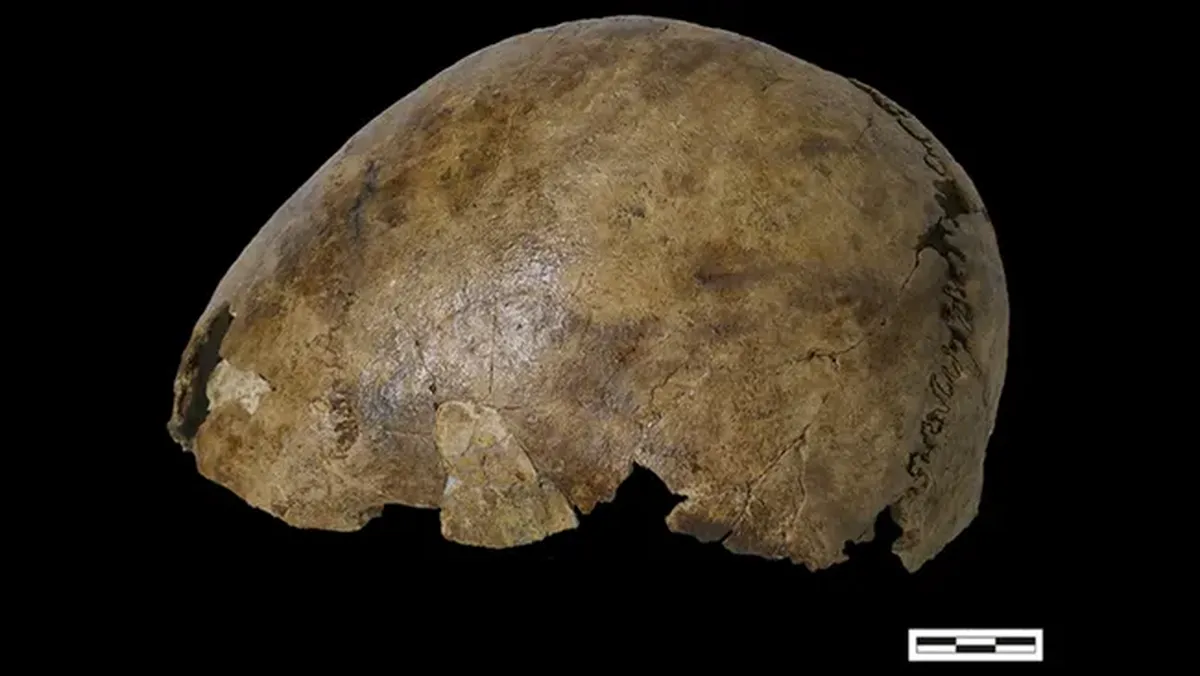 El esqueleto tenía características mu particulares. El esqueleto tenía características mu particulares.