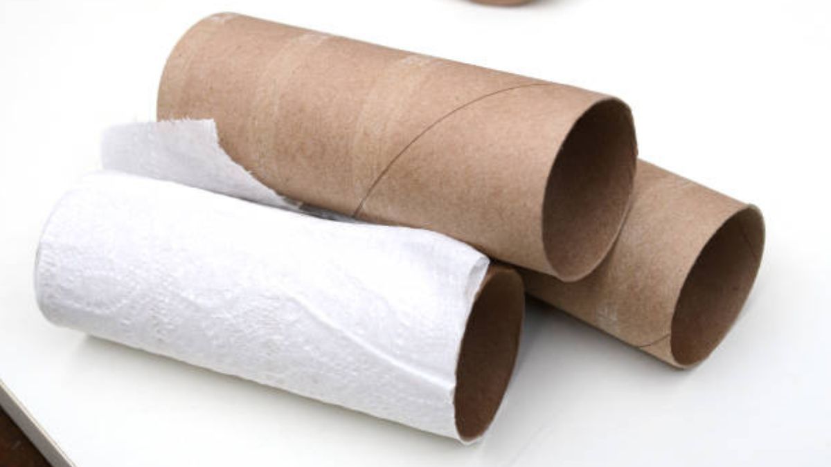 Esto puedes hacer con los cartones de los rollos de papel higiénico.