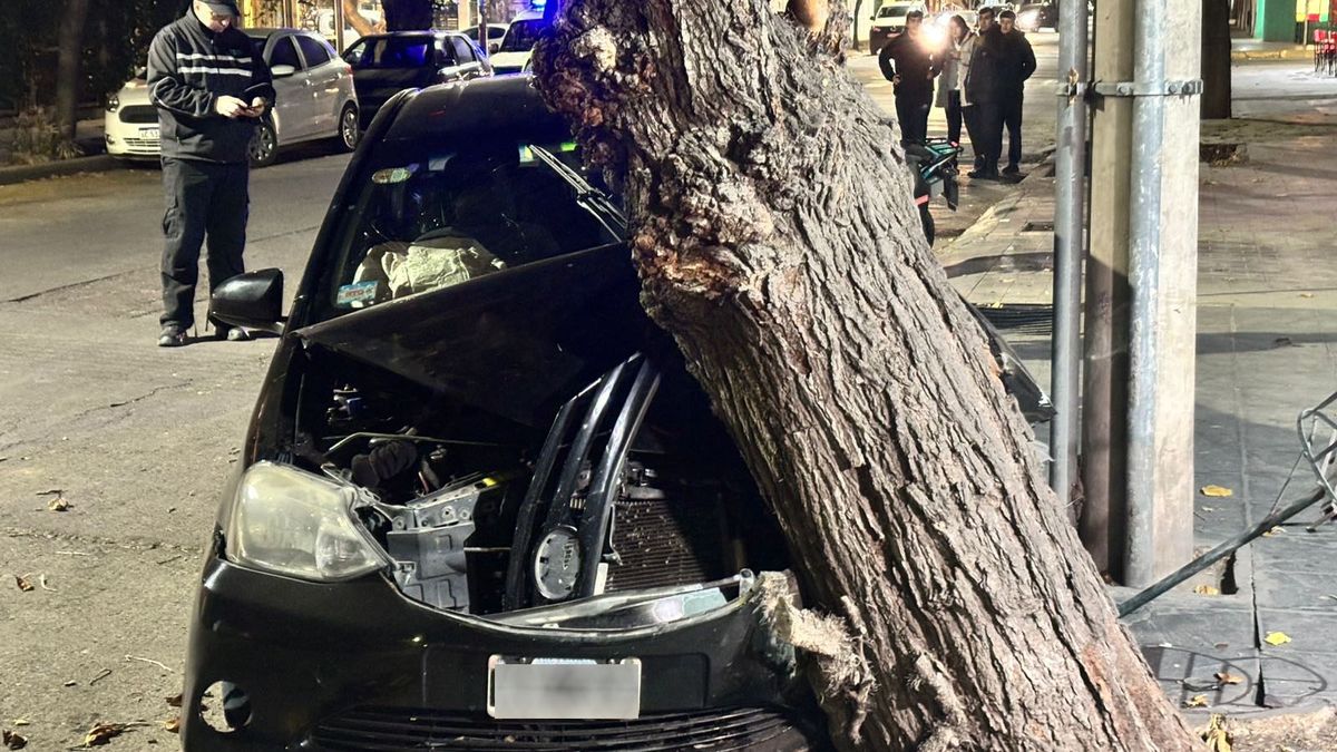 El accidente ocurrió cuando el conductor de Maxim se quedó dormido mientras llevaba a una pasajera. El accidente ocurrió cuando el conductor de Maxim se quedó dormido mientras llevaba a una pasajera.