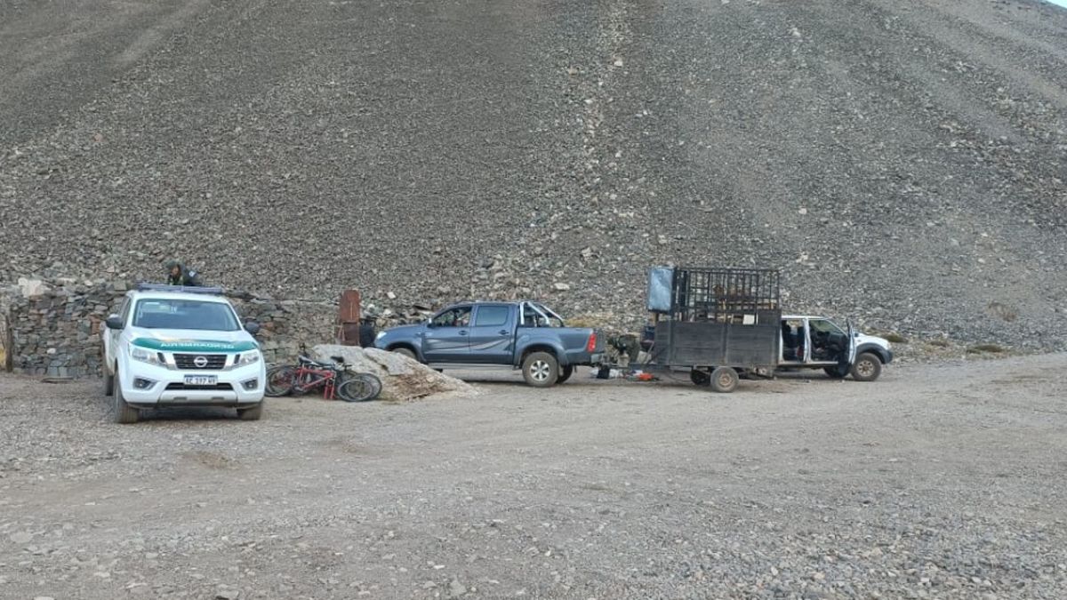 Las dos camionetas y el trailer que fueron interceptadas por Gendarmería y la Policía de Malargüe, en donde se encontraron los animales, mercaderías, dinero y armas de fuego