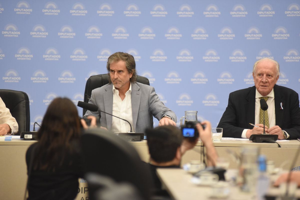 Alberto Bertie Benegas Lynch preside la Comisión de Presupuesto y Hacienda.