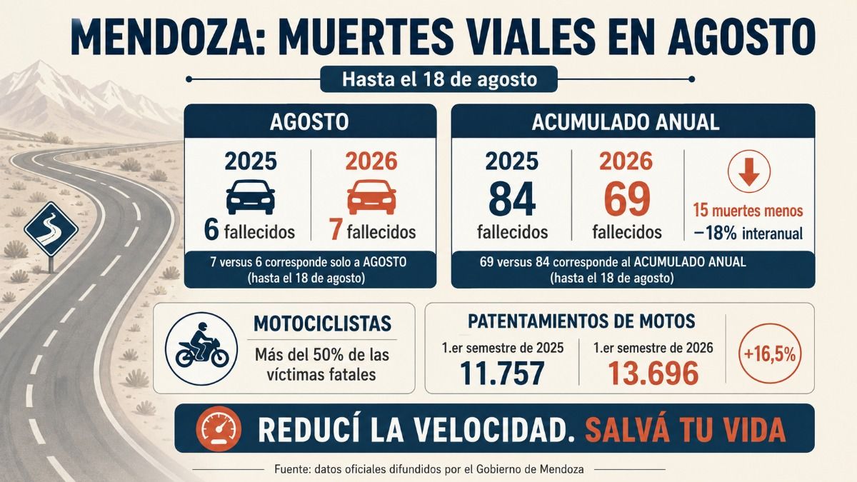 Los números de los accidentes viales en Mendoza. Infografía realizada con IA a partir de la información de esta nota.