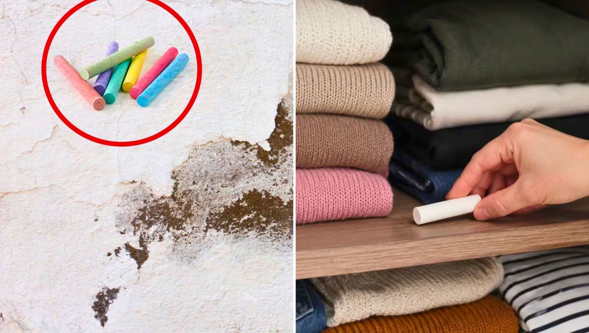 Si tenés tizas y humedad en tu casa, aprovechalas para eliminar el moho de cuaqlueir rincón de forma fácil y práctica. Foto El comercio Perú Si tenés tizas y humedad en tu casa, aprovechalas para eliminar el moho de cuaqlueir rincón de forma fácil y práctica. Foto El comercio Perú