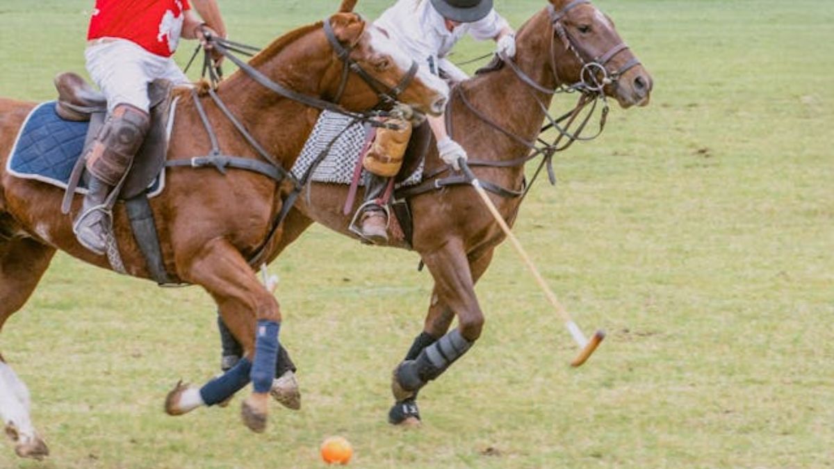 La Asociación Argentina de Polo (AAP) atraviesa una profunda crisis institucional bajo la conducción de Benjamín Araya. Foto: lustrativa&nbsp;