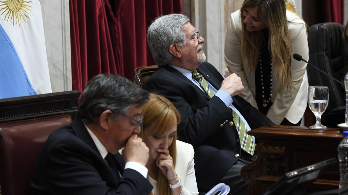 La senadora mendocina Anabel Fernández Sagasti en la sesión donde se aprobaron los cambios al Impuesto a las Ganancias.