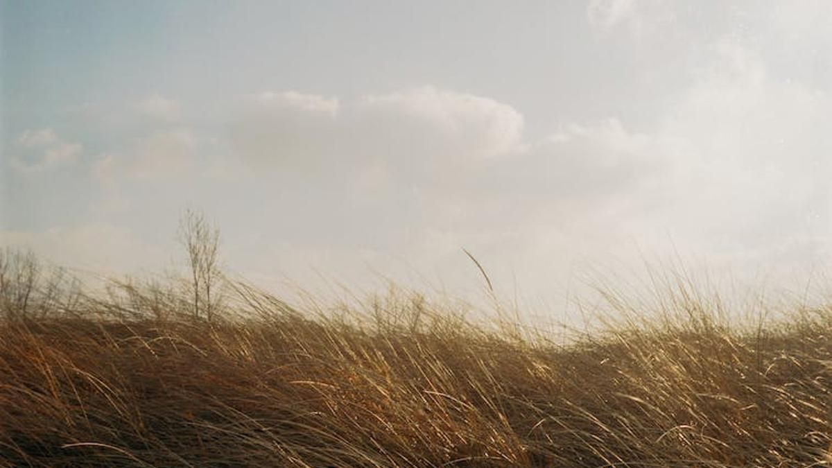 No te expongas a situaciones riesgosas No te expongas a situaciones riesgosas