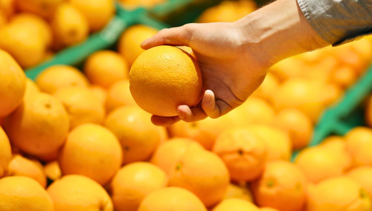 Que no te estafen en la verdulería: cómo saber si una naranja está en su punto justo de dulzura y jugosidad