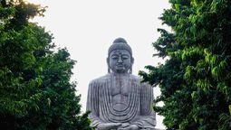 Filosofía china: el proverbio de Confucio que compara el éxito con un árbol y deja una lección inolvidable Filosofía china: el proverbio de Confucio que compara el éxito con un árbol y deja una lección inolvidable