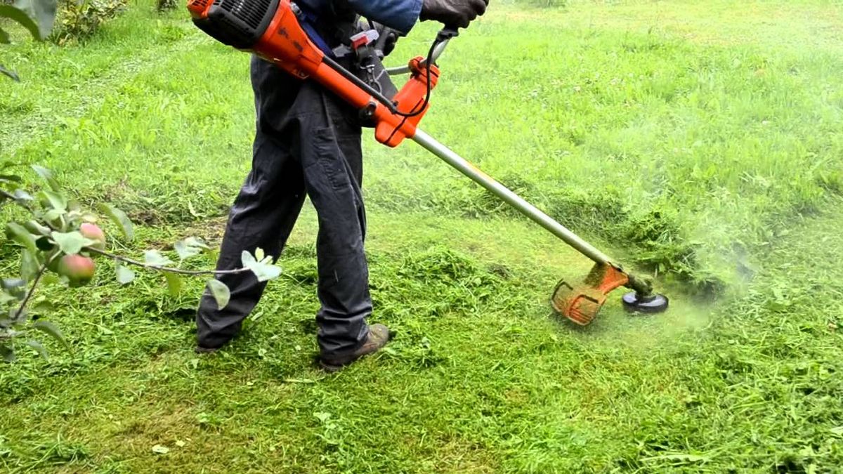 La bordeadora es ideal para mantener el jardín prolijo todo el año. Imagen: Freepik La bordeadora es ideal para mantener el jardín prolijo todo el año. Imagen: Freepik