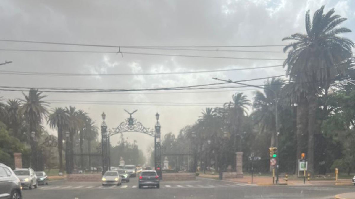 El temporal obligó a suspender varias actividades.