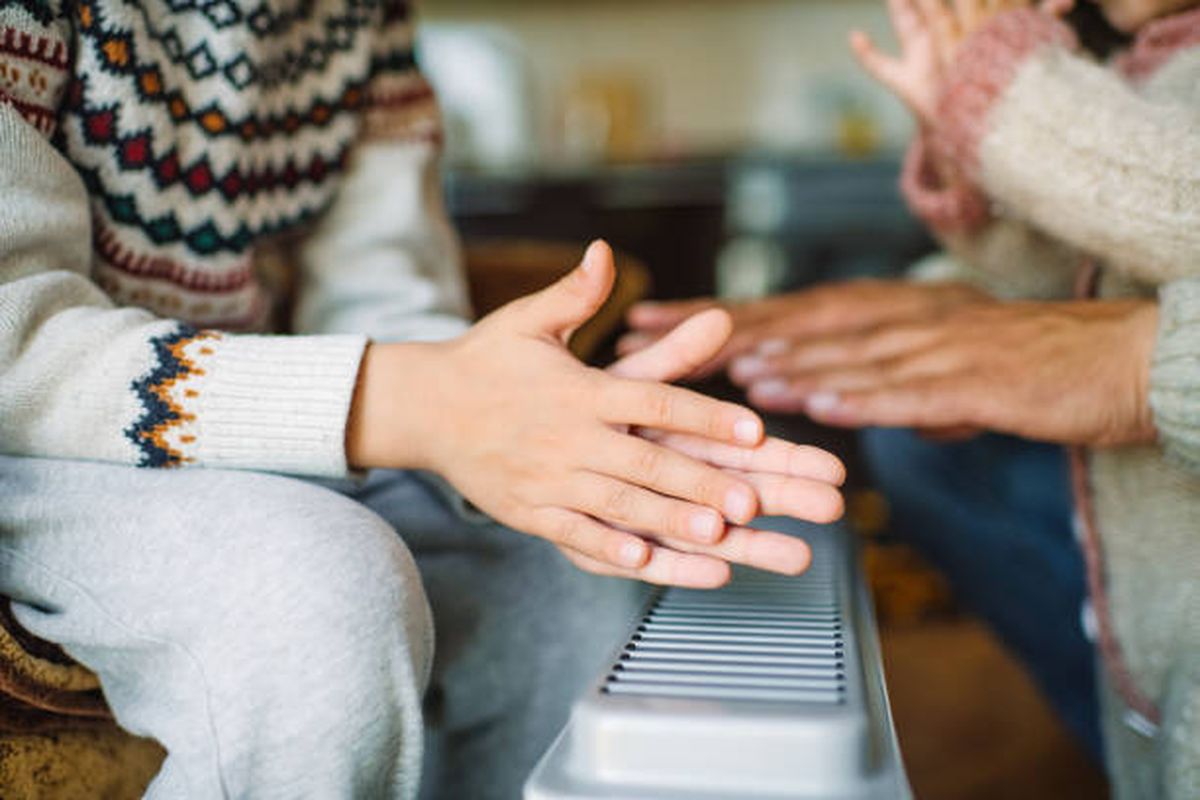 Estufa eléctrica. Estufa eléctrica.