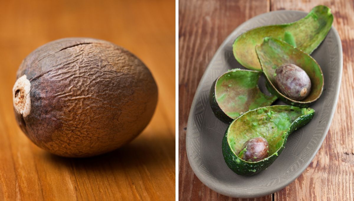 Recicla los carozos o huesos de la palta y crea esta hermosa y original idea para tus manualidades