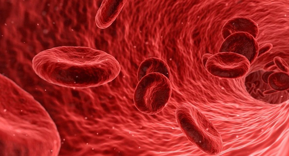 Cáncer de sangre: cada año se detectan en Argentina más de 30 casos por día.