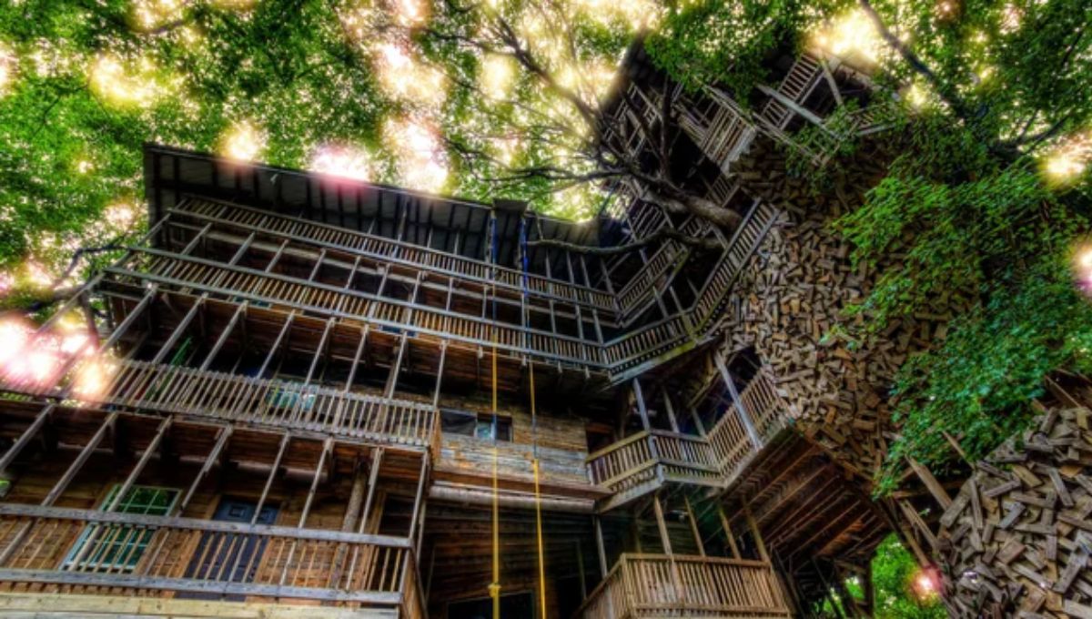 Construyó la casa de árbol más grande del mundo por pedido divino