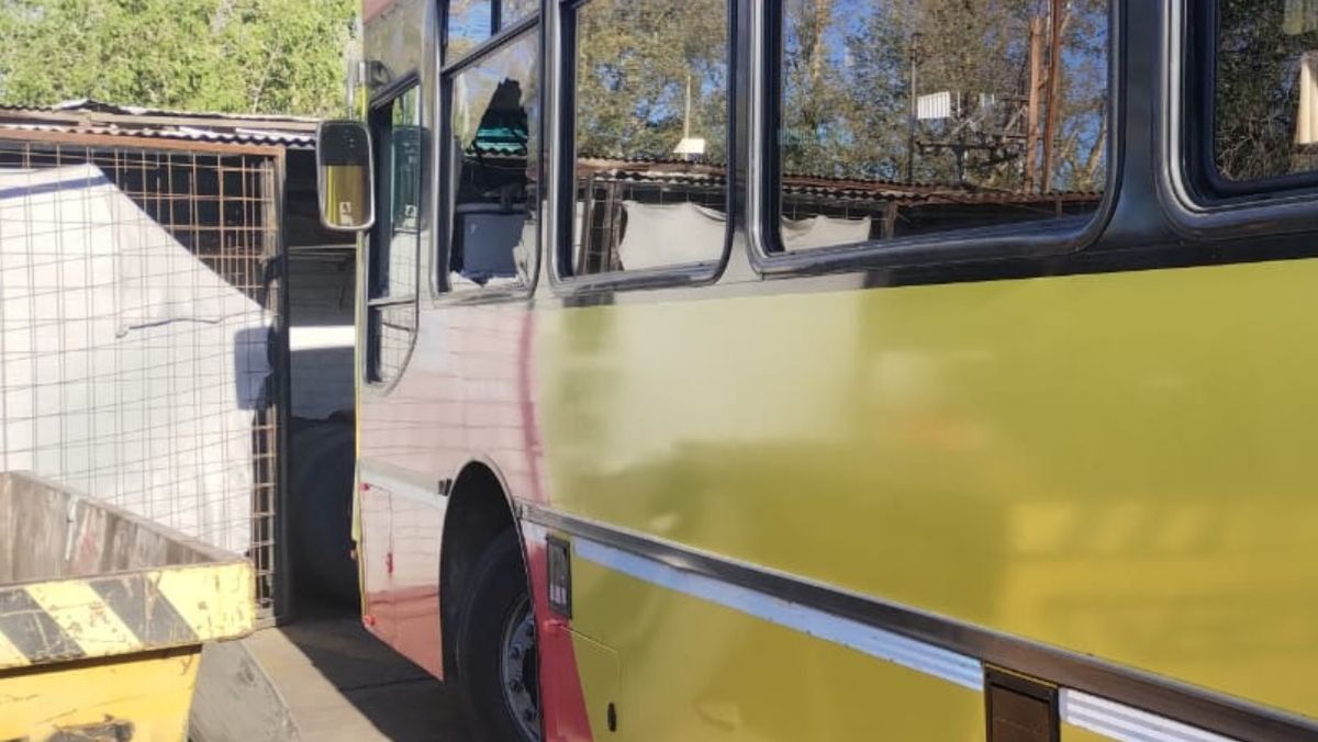 Los choferes están cansados de los ataques, que no tienen otra motivación que las ganas de destruir. Los choferes están cansados de los ataques, que no tienen otra motivación que las ganas de destruir.