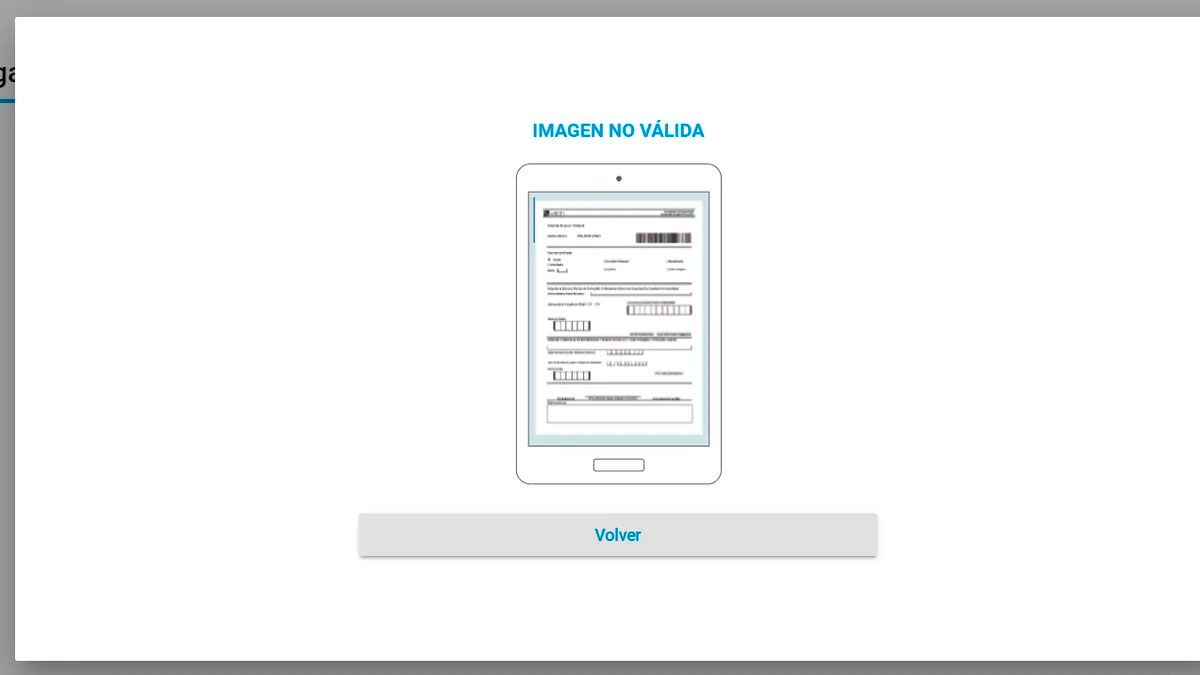 ANSES y los GRAVES errores para cargar el formulario de AYUDA ESCOLAR ANSES y los GRAVES errores para cargar el formulario de AYUDA ESCOLAR