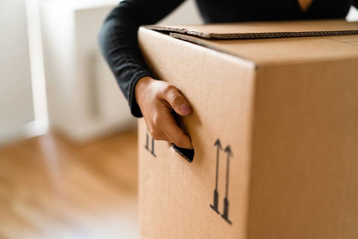 Reciclaje: esto puedes hacer con tus cajas de cartón viejas. Reciclaje: esto puedes hacer con tus cajas de cartón viejas.
