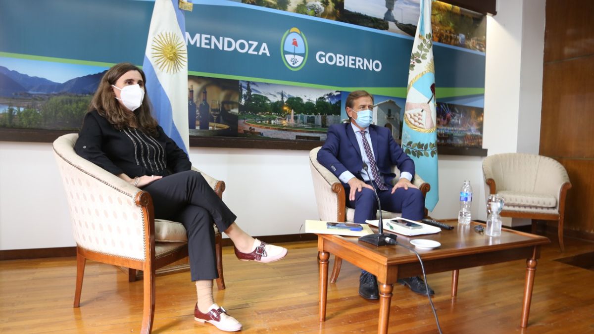 La ministra Ana Mar&iacute;a Nadal, de Salud, y el gobernador Rodolfo Suarez, durante un encuentro virtual con De Pedro y Vizzotti, en 2020.&nbsp;