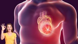Este es el poderoso alimento natural que protege tu salud contra enfermedades cardiovasculares, según la OMS