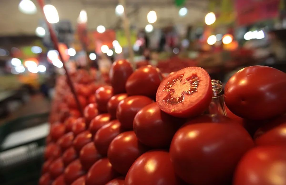Tomates para la venta en un mercado de Ciudad de México (Archivo). Crédito: EFE/ Sáshenka Gutiérrez.