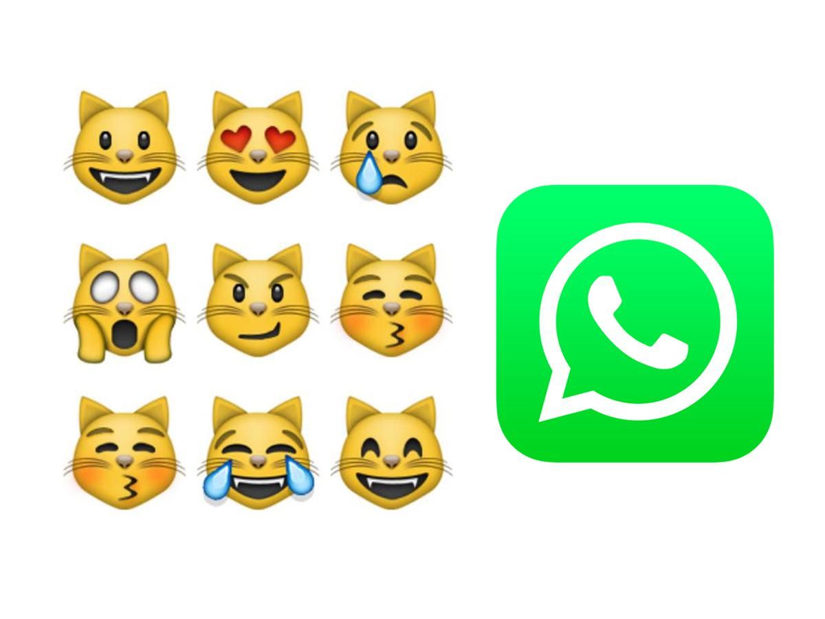 WhatsApp qu significa el gato con ojos de corazones