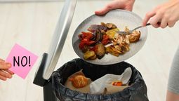 Ahorra plata: el truco definitivo para organizar tu heladera y que nada se eche a perder