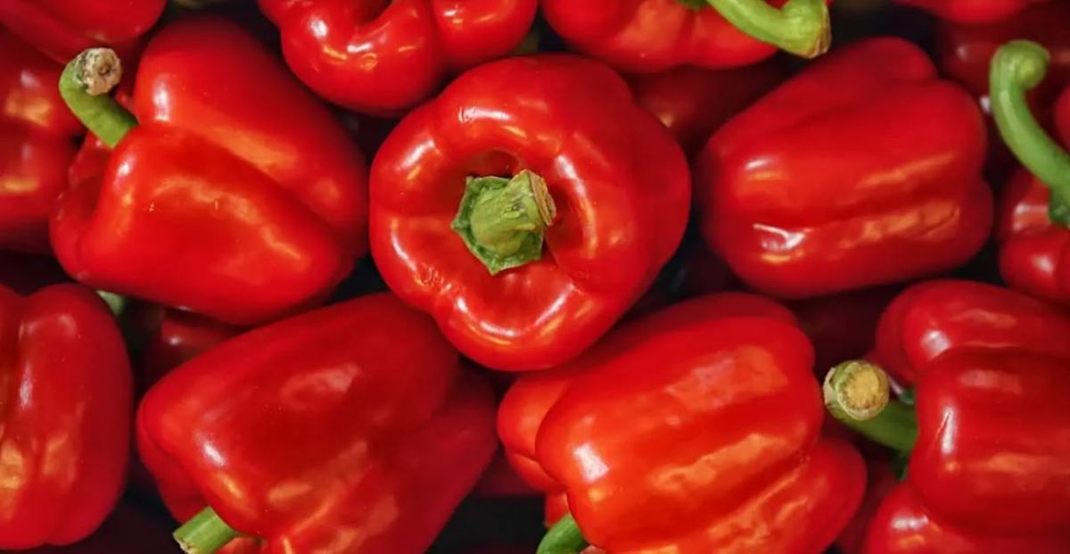 Beneficios y propiedades de comer pimientos morrones Beneficios y propiedades de comer pimientos morrones