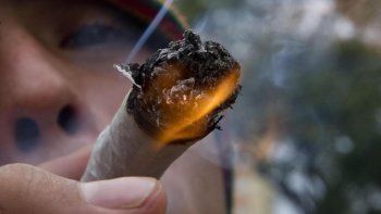 Se cuadruplicó la cantidad de consumidores legales de marihuana en Uruguay