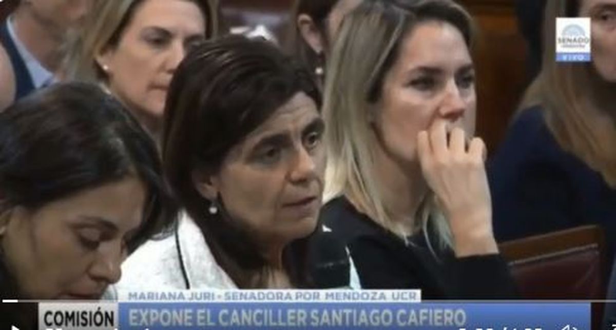 Hace 5 meses Mariana Juri pidió explicaciones en el Senado a Santiago Cafiero por las demoras en el paso a Chile. La senadora radical dijo ahora que la situación no ha cambiado desde aquella ocasión.