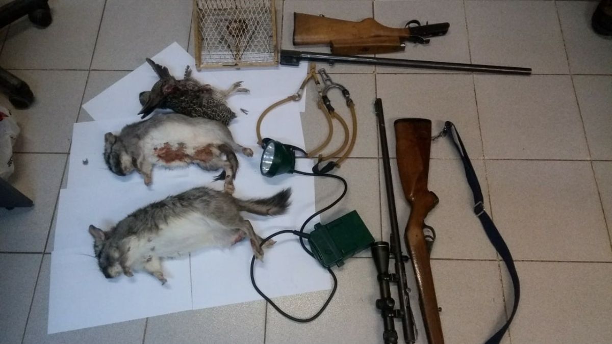 Depredación de la fauna silvestre. En sus operativos, la Policía Rural de Mendoza sorprende en el terreno a quienes realizan caza menor, como en este caso, donde se secuestraron dos vizcachas y una martineta ya sacrificadas; y distintas armas, como una escopeta, un rifle calibre .22, gomeras, una trampa para aves, y un reflector.