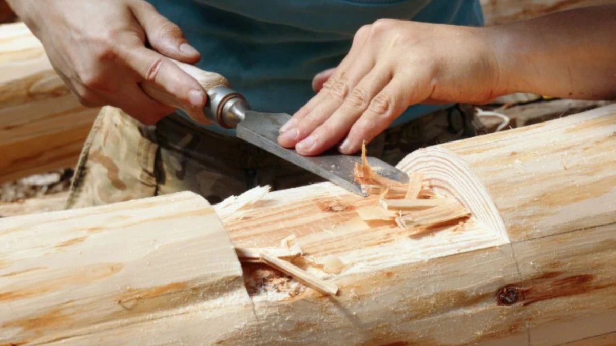 Foto: Unplash Foto: Unplash