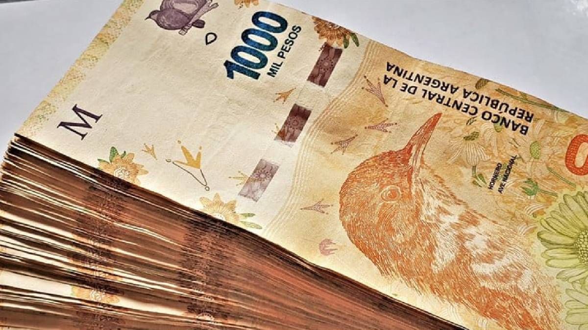 El Banco Central Confirmó La Tasa De Interés De Cada Plazo Fijo Cuánto Gano Con 80 Mil 0599