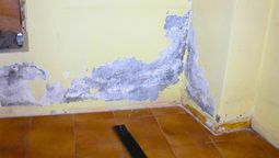 Hay muchas maneras para erradicar la humedad y salitre que se forma en la pared de la casa. Hay muchas maneras para erradicar la humedad y salitre que se forma en la pared de la casa.