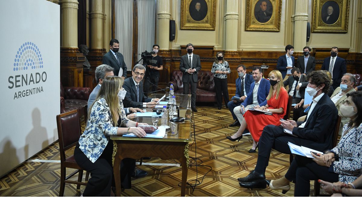 La semana pasada el proyecto de Bienes Personales se trató en comisión. Allí estuvieron Anabel Fernández Sagasti y Mariana Juri.