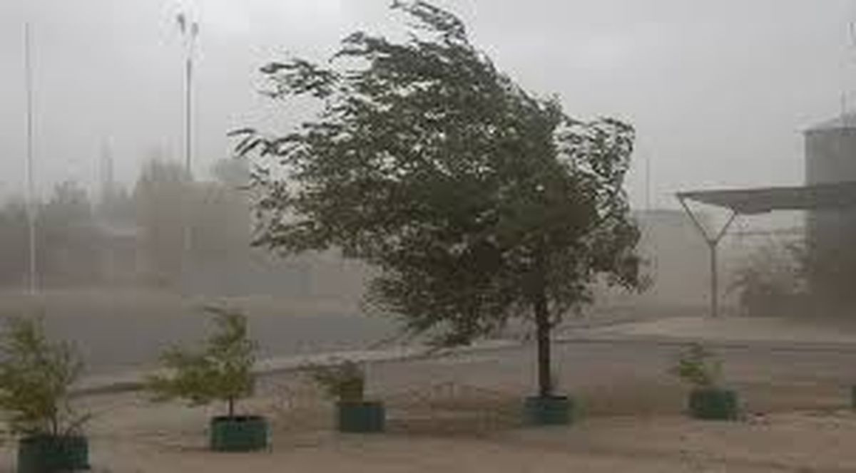Toma las medidas necesarias para cuidarte de las fuertes ráfagas. Toma las medidas necesarias para cuidarte de las fuertes ráfagas.