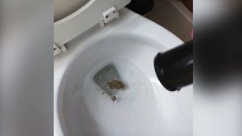 Le encontró marihuana a su hijo y su reacción se hizo viral