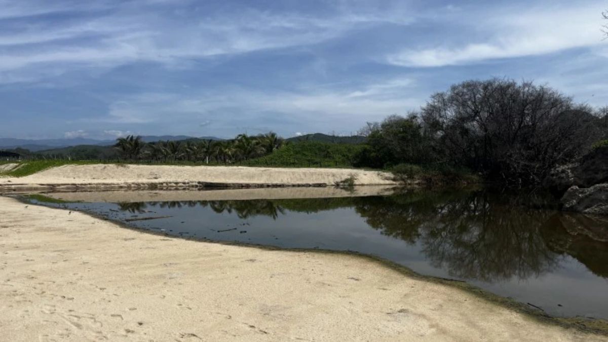 Humedal costero en el área natural protegida Bahías de Huatulco, en el estado de Oaxaca, al sur de México. (Foto: Juan Mayorga) Humedal costero en el área natural protegida Bahías de Huatulco, en el estado de Oaxaca, al sur de México. (Foto: Juan Mayorga)