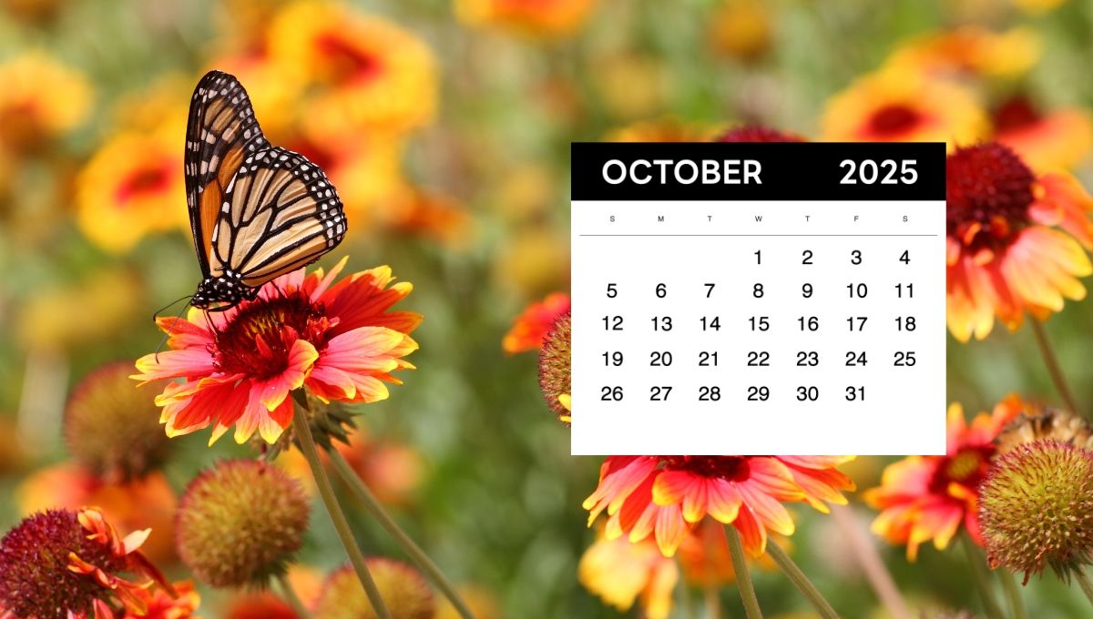 Se esperan temperaturas características de la primavera