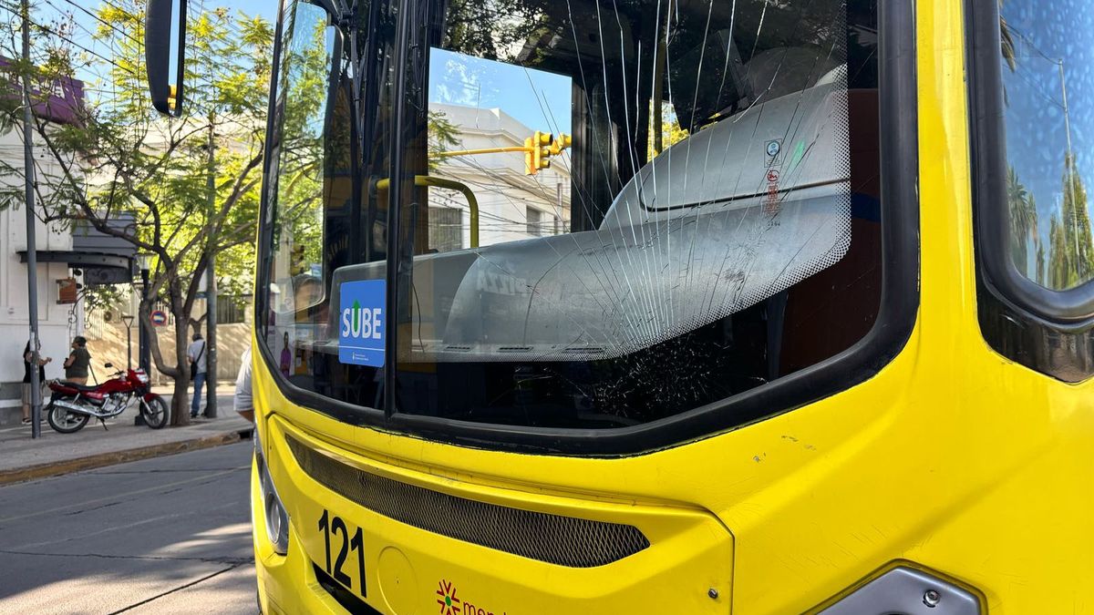 Una de las mujeres golpeó su cabeza contra el parabrisas del micro que la atropelló en Godoy Cruz. Una de las mujeres golpeó su cabeza contra el parabrisas del micro que la atropelló en Godoy Cruz.