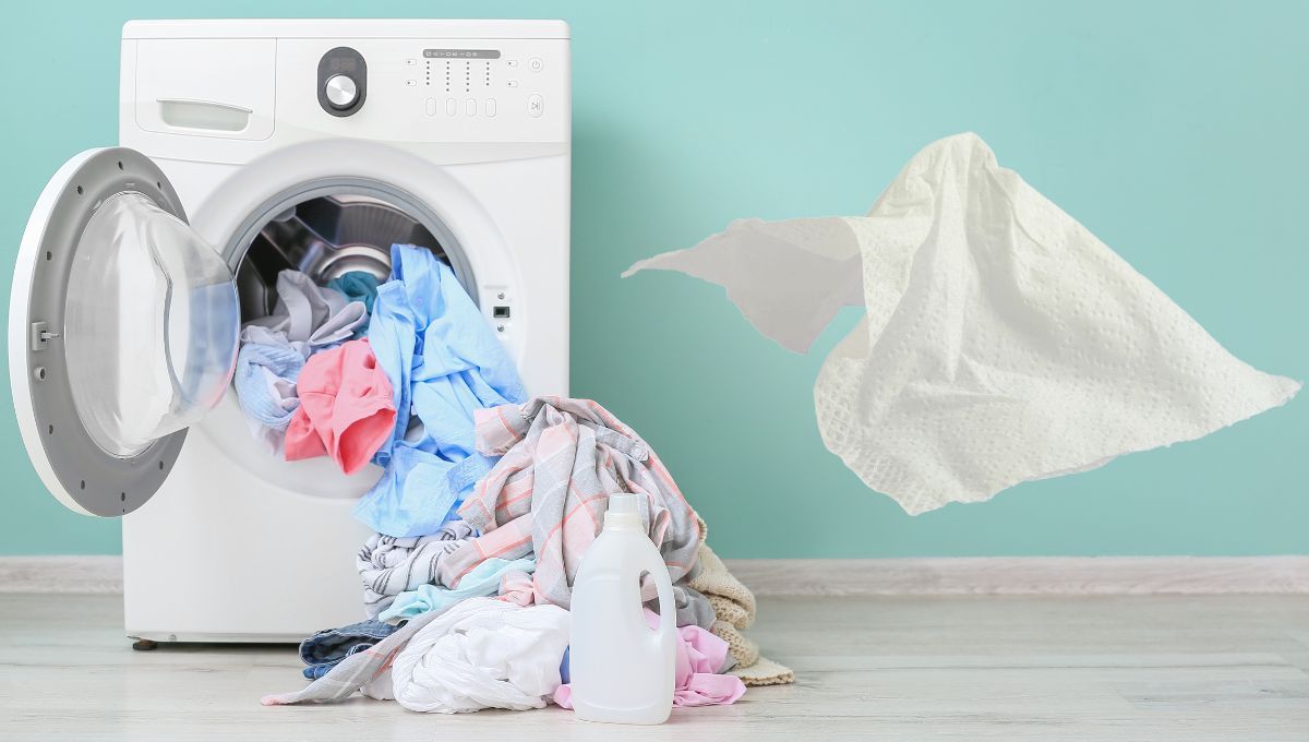 Qué hacer si metiste un papel o pañuelo en el lavarropas y tu ropa quedó toda blanca