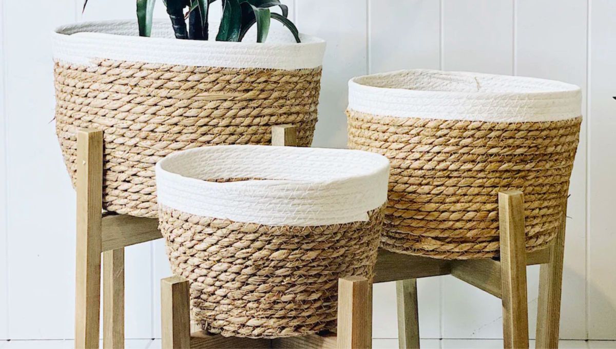 A través del reciclaje creativo, macetas aparentemente inservibles se transforman en un elemento decorativo único y personalizado. A través del reciclaje creativo, macetas aparentemente inservibles se transforman en un elemento decorativo único y personalizado.