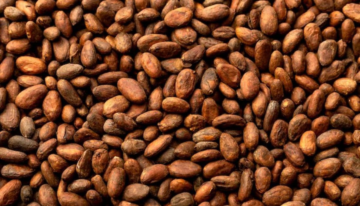 Europa posee la mayor cuota del mercado mundial de cacao en grano. Imagen de Freepik. Europa posee la mayor cuota del mercado mundial de cacao en grano. Imagen de Freepik.